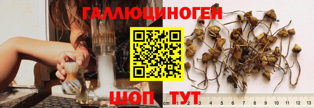 Галлюциногенные грибы MAGIC MUSHROOMS  Псилоцибиновые грибы мухоморы  купить наркотик  Вход с VPN  Ноябрьск 